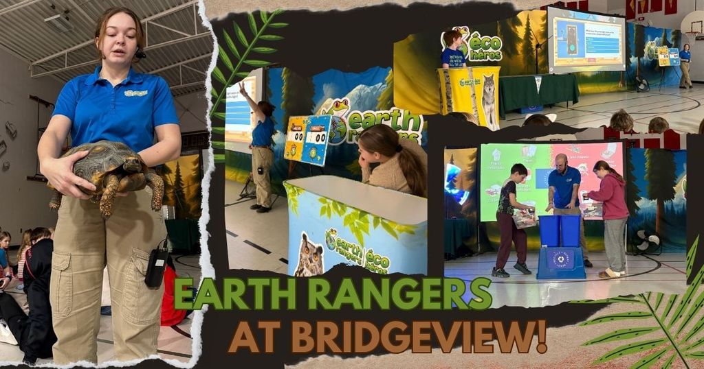 Earth Rangers visit Bridgeview