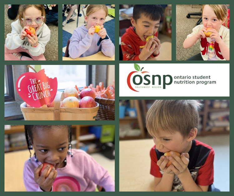 students eating apples 
