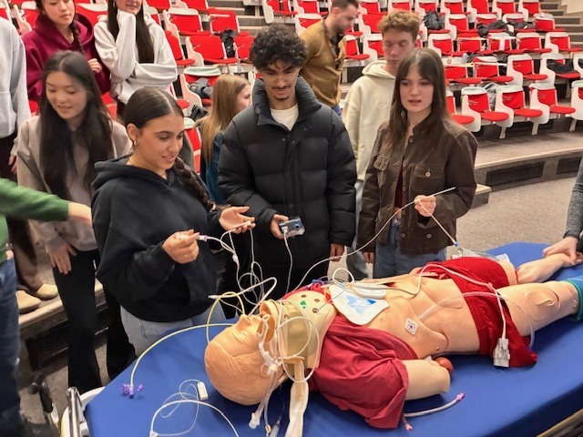 Students doing simulation