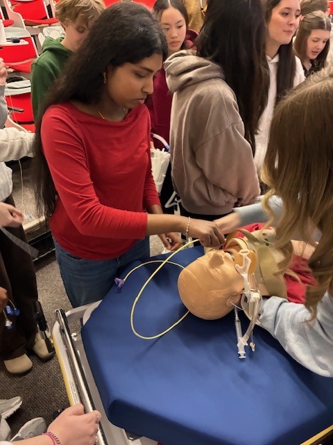 Students doing simulation