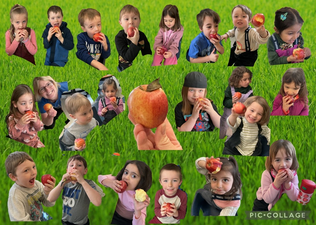 collage of students each holding an apple 