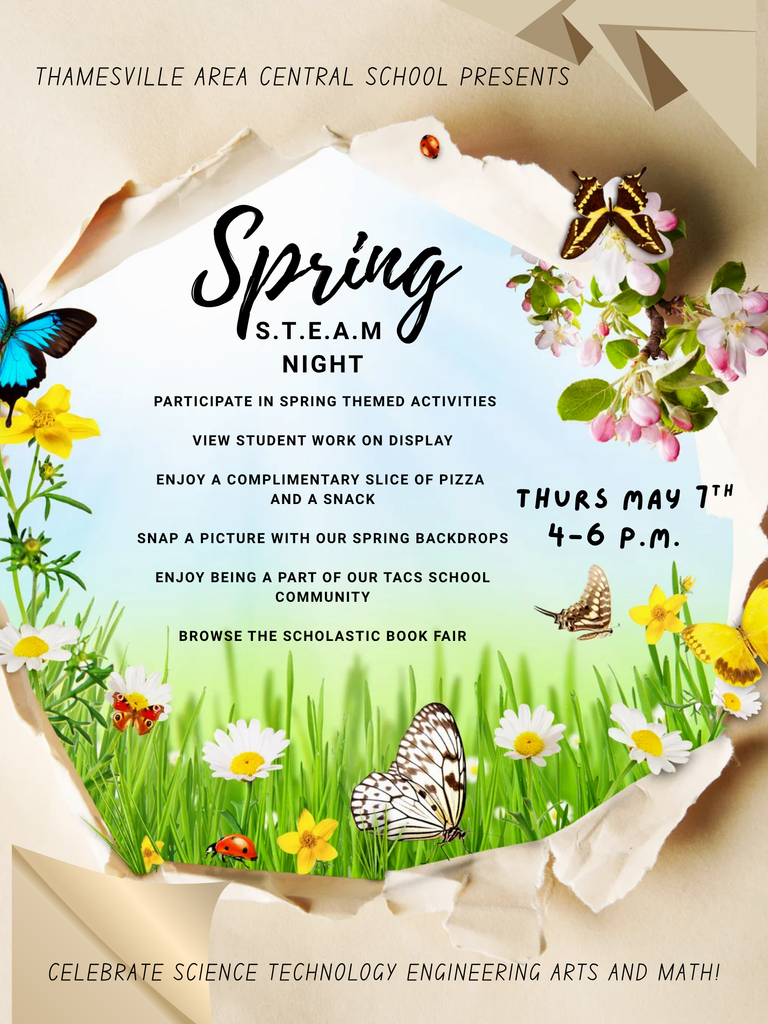 Spring STEAM