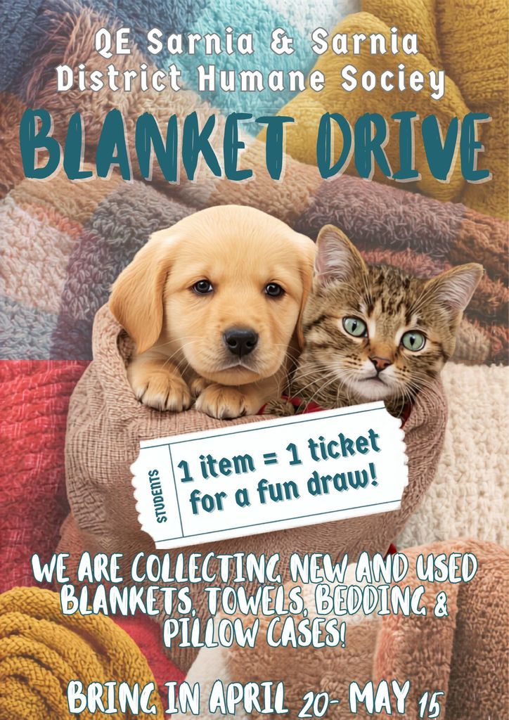 blanket drive