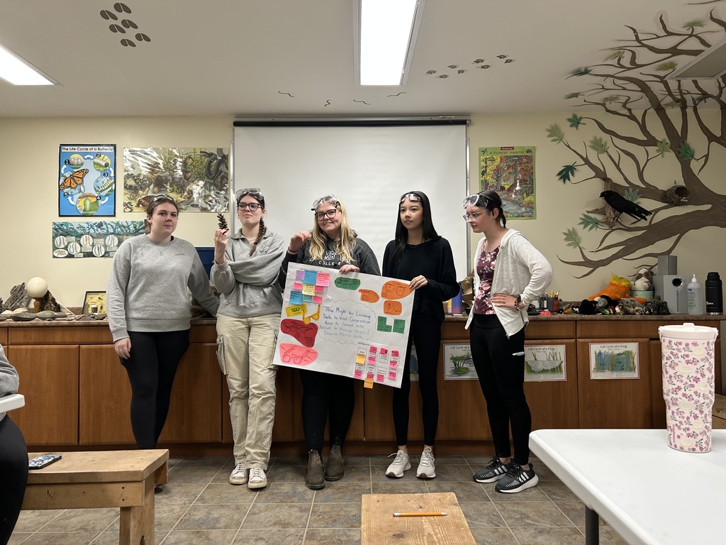 students presenting their ideas at front of group