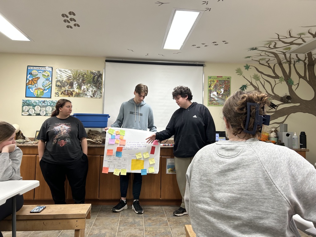 students presenting their ideas at front of group