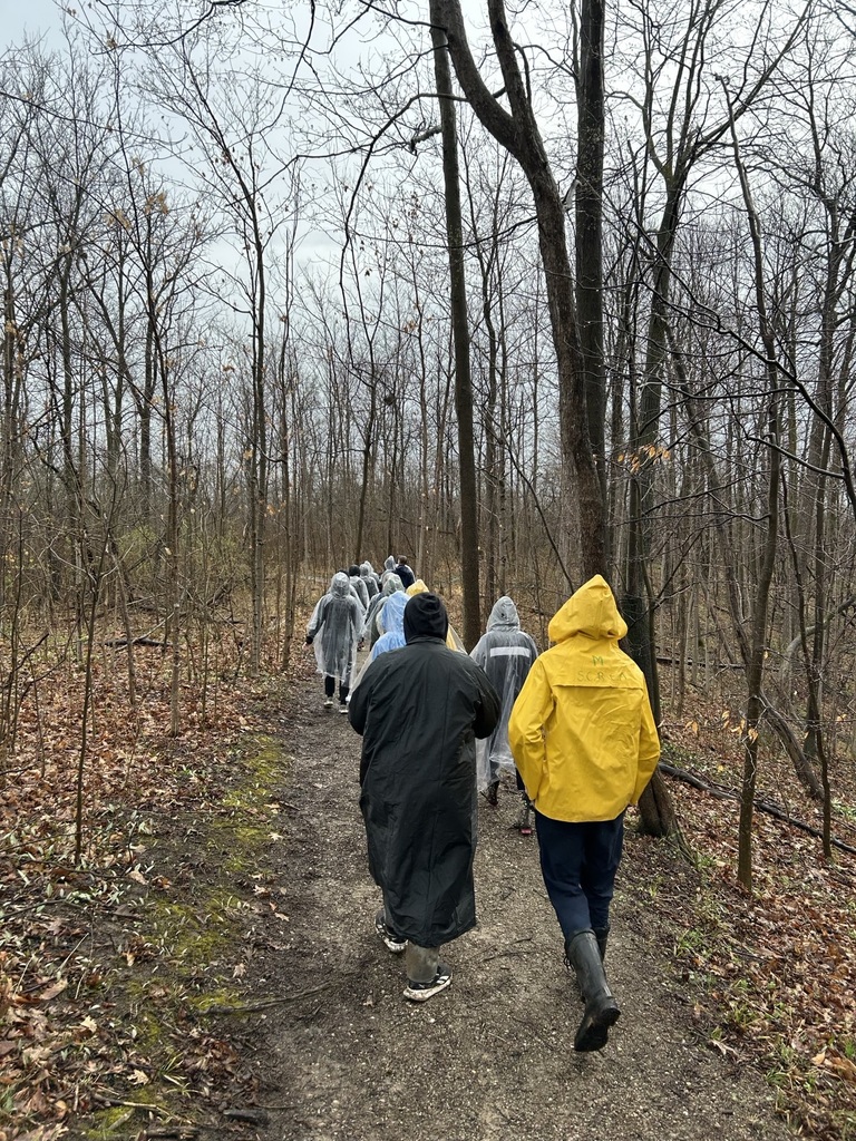 students walking in nature on the healing walk