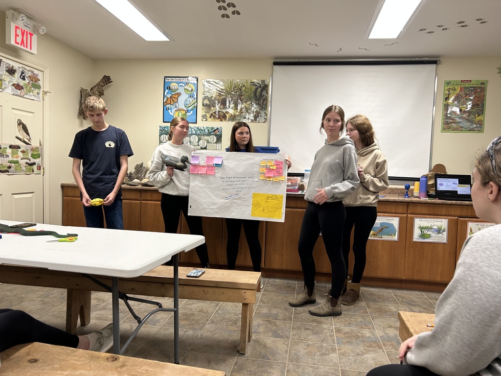 students presenting their ideas at front of group