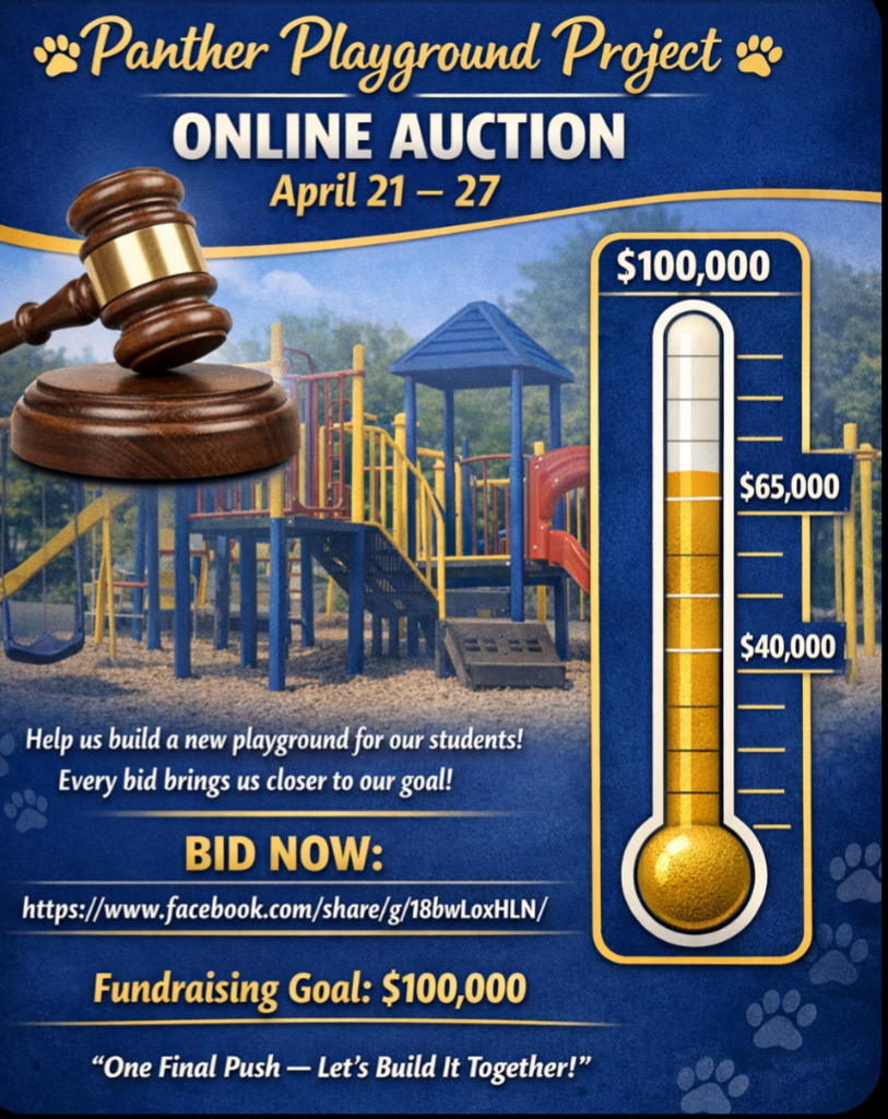 Panther Playground Project Online Auction