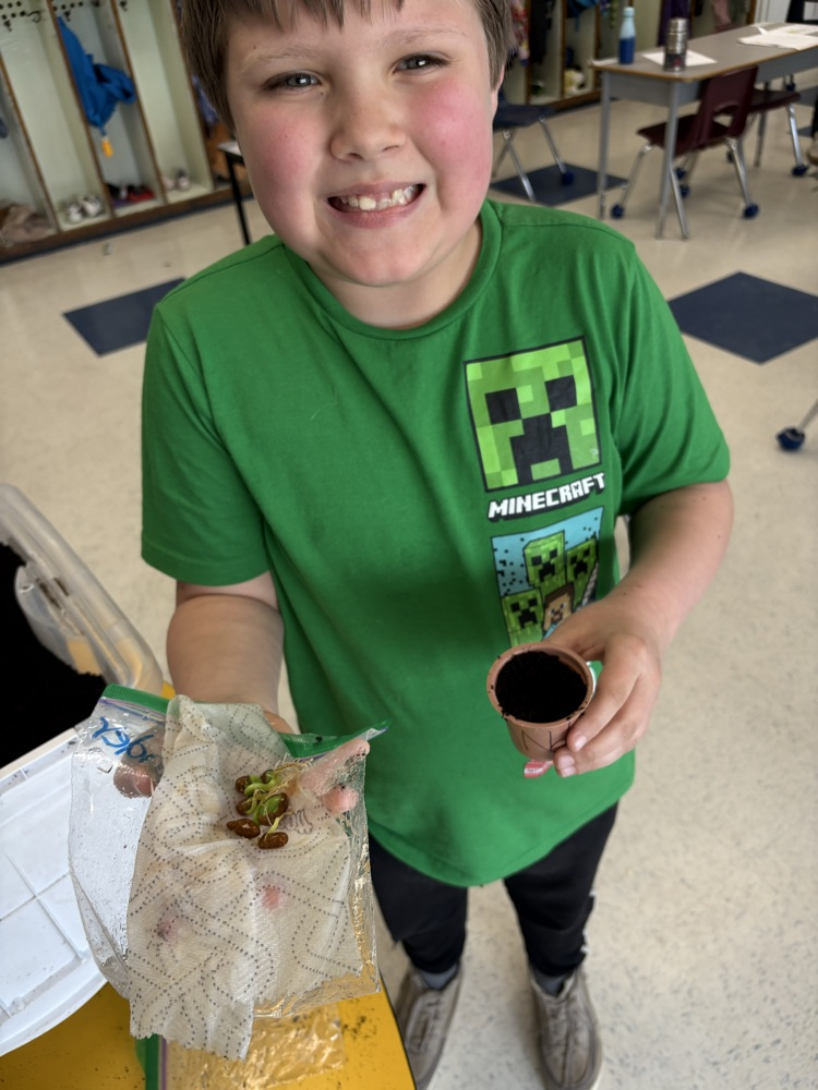 seeds growing 