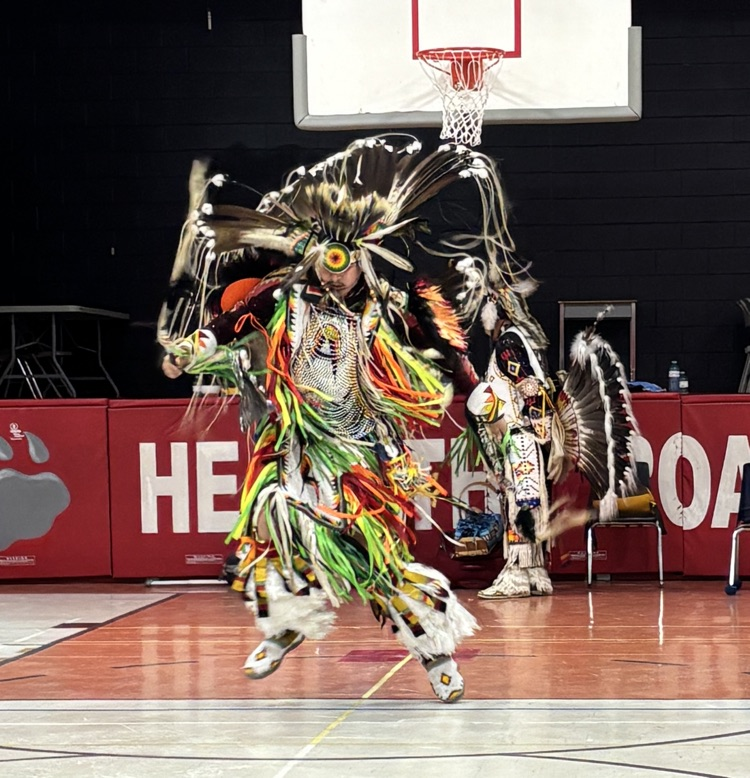 Traditional male indigenous, dance dancer in regalia