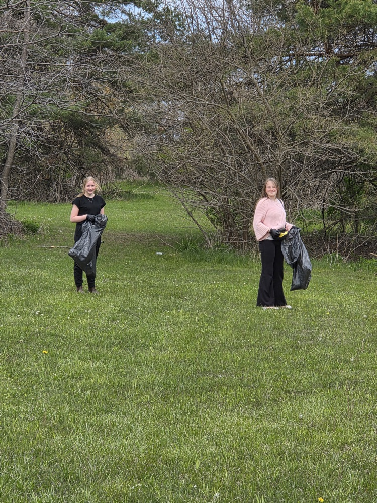spring clean up
