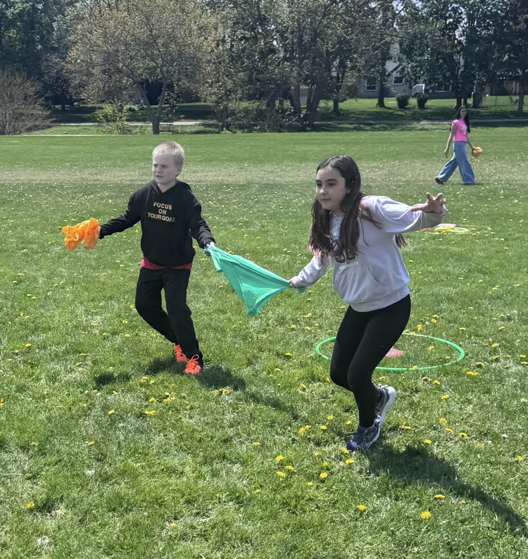 children playing with flags in a field