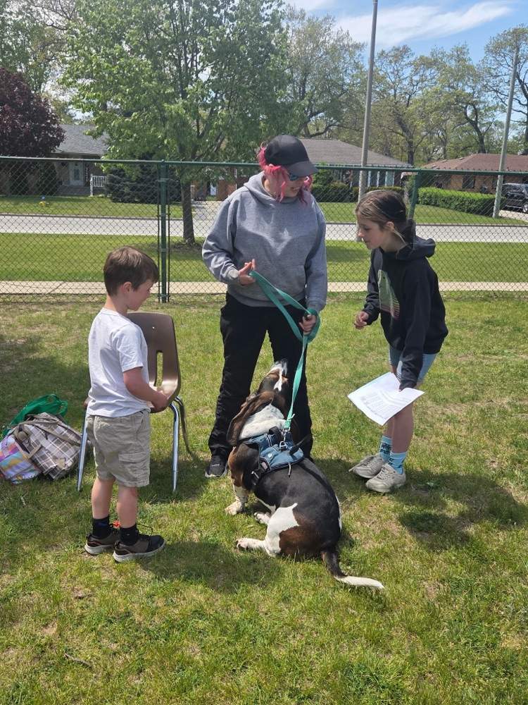 Pet Day