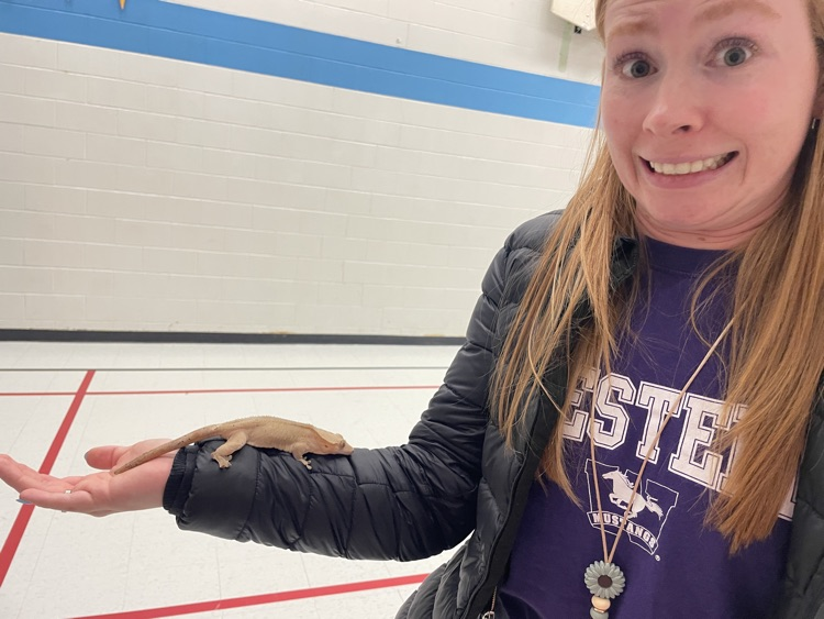 Pet Day