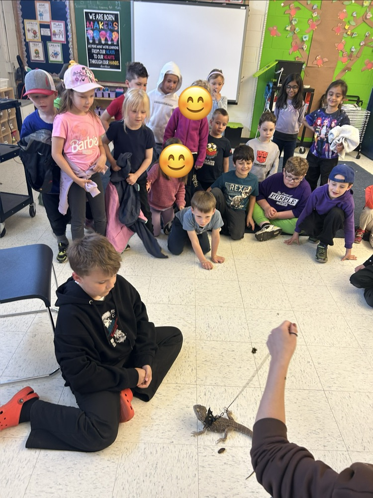 Pet Day