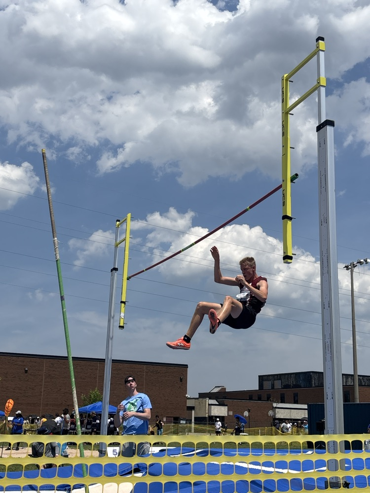 Ofsaa