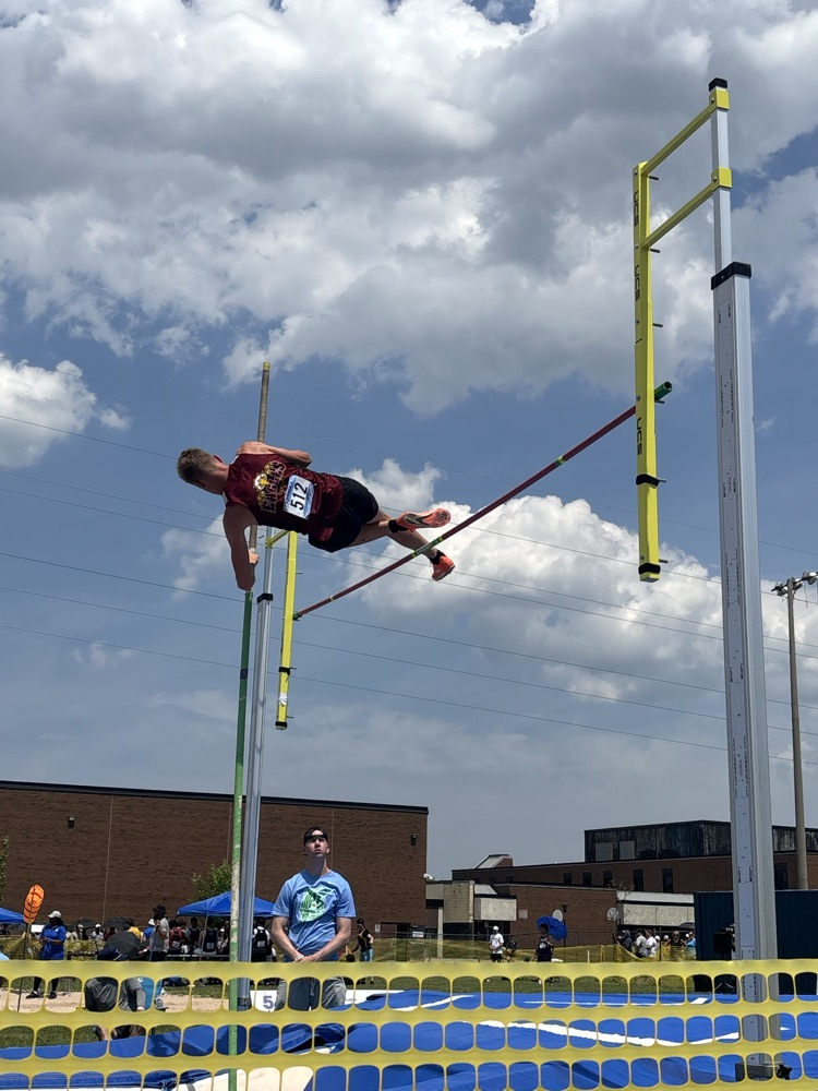 ofsaa
