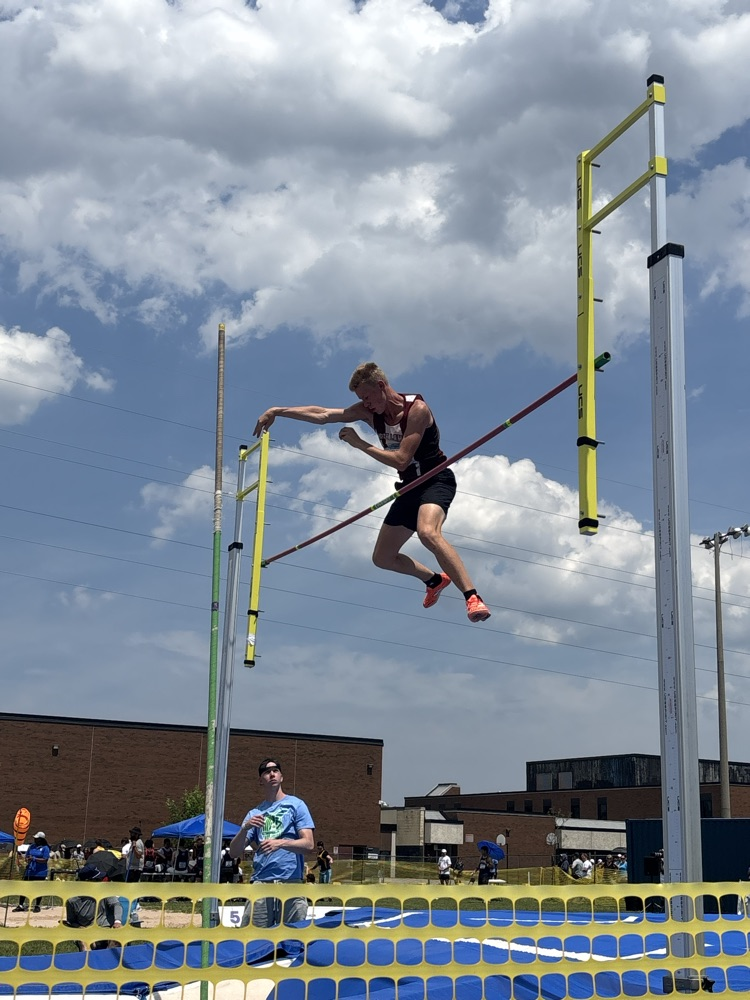 ofsaa
