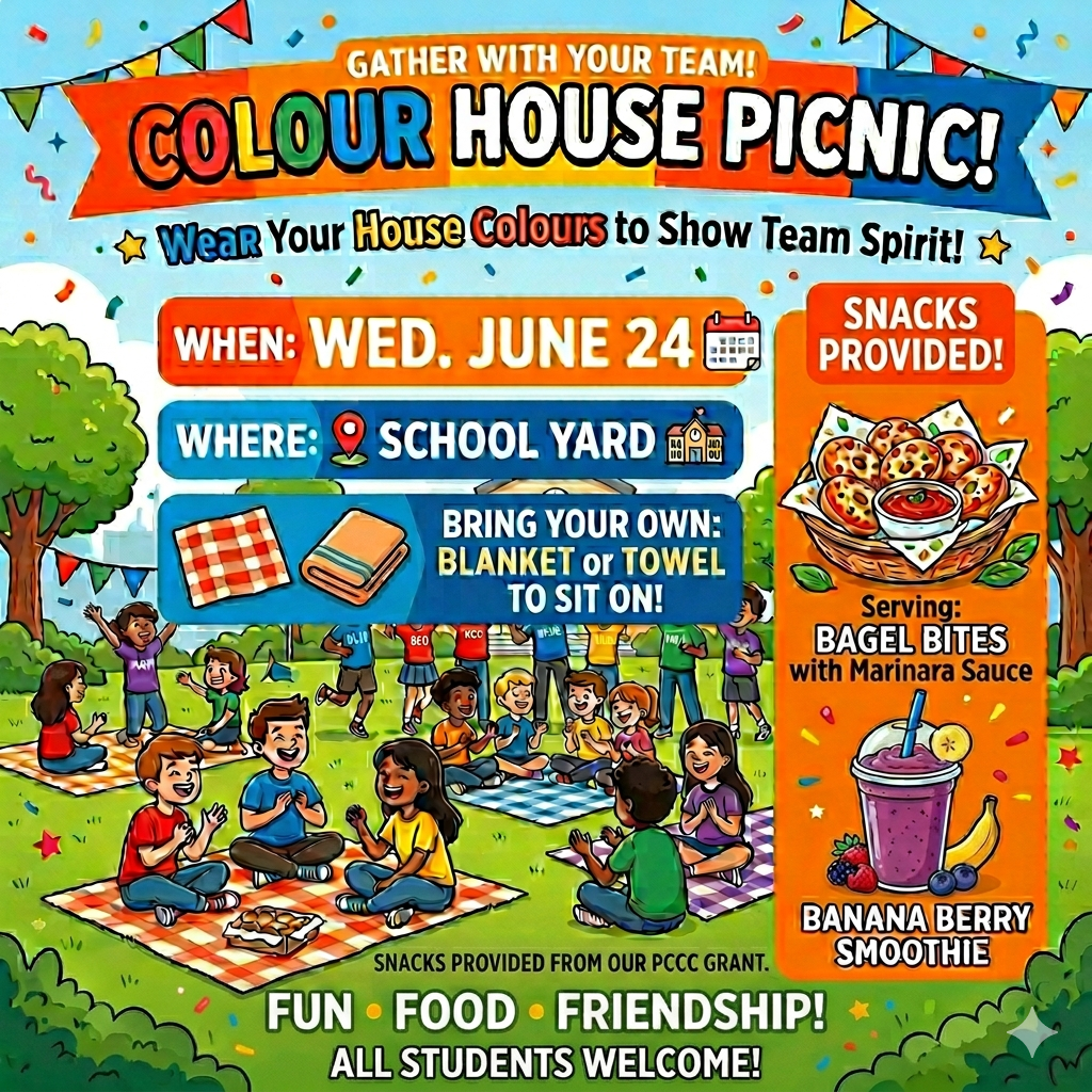 Colour House Picnic
