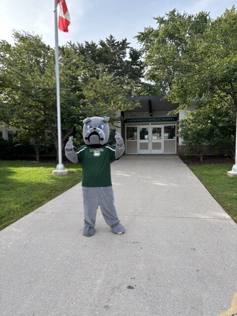 Bulldog costume
