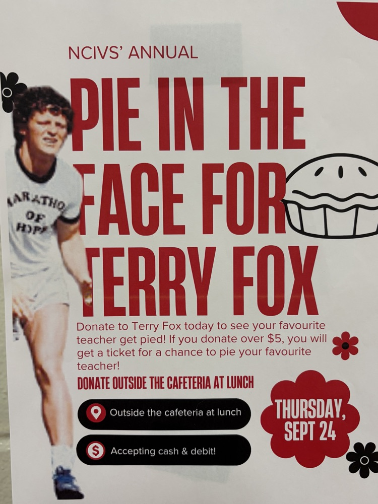 terry 2