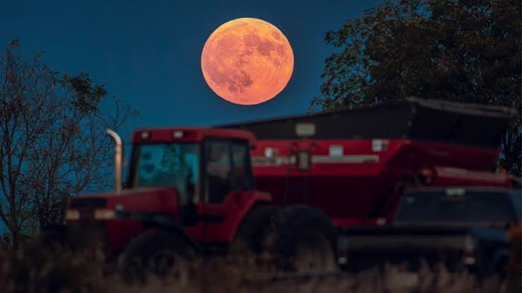 Harvest Moon