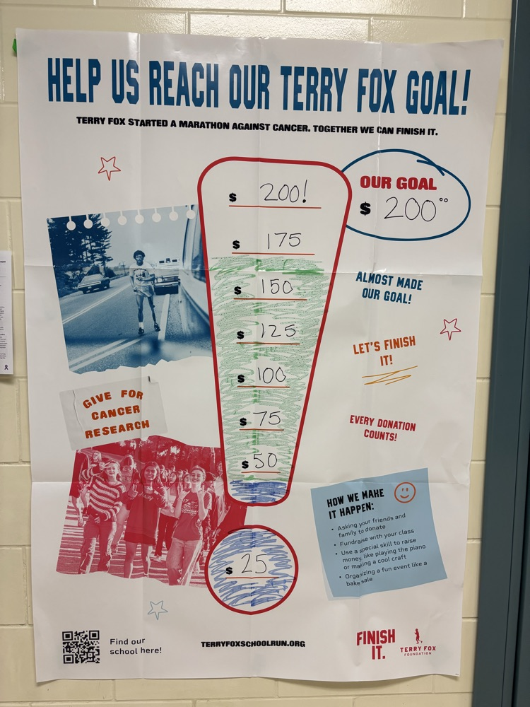 Terry Fox goal