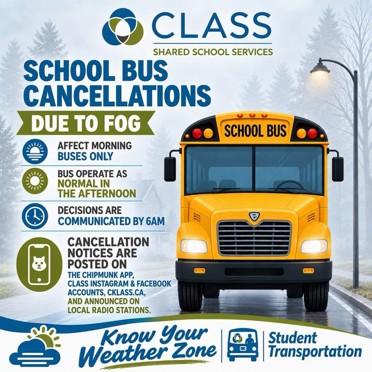 fog cancellation 