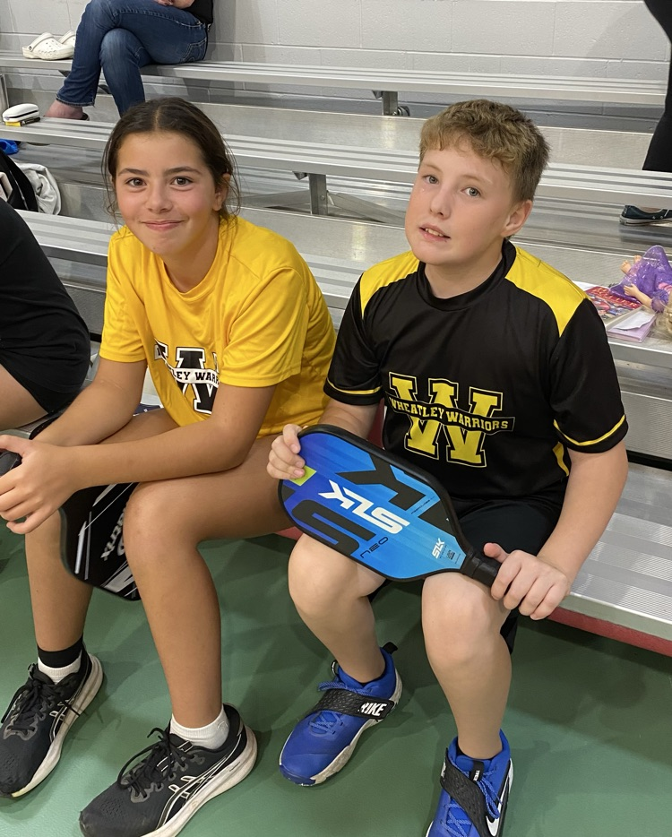 mixed doubles partners for their pickleball game