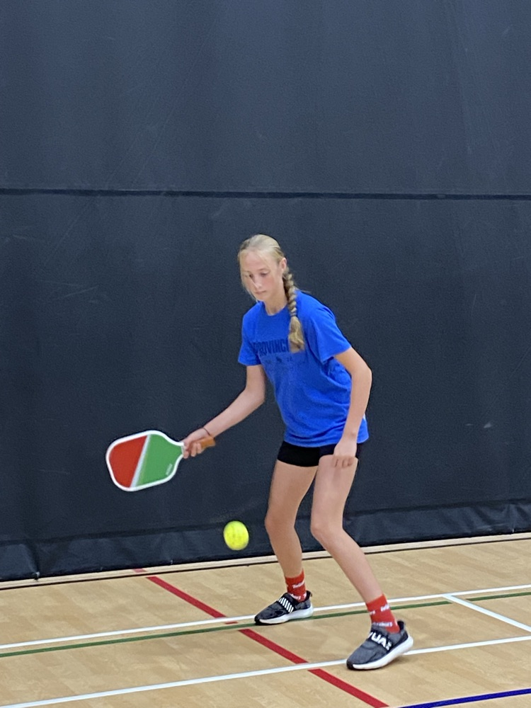 action shot of pickleball
