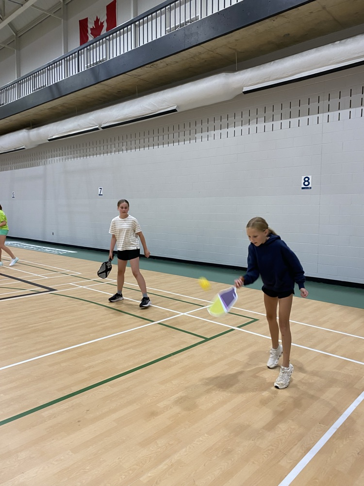 action shot of pickleball