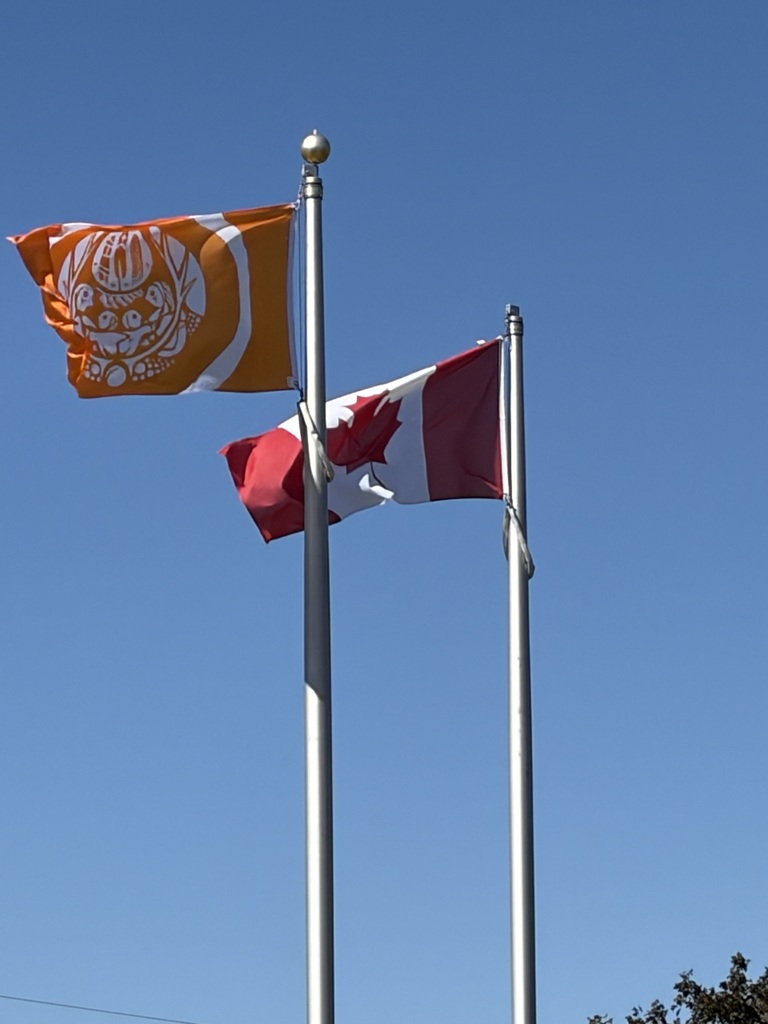 The Survivors Flag at BDHS