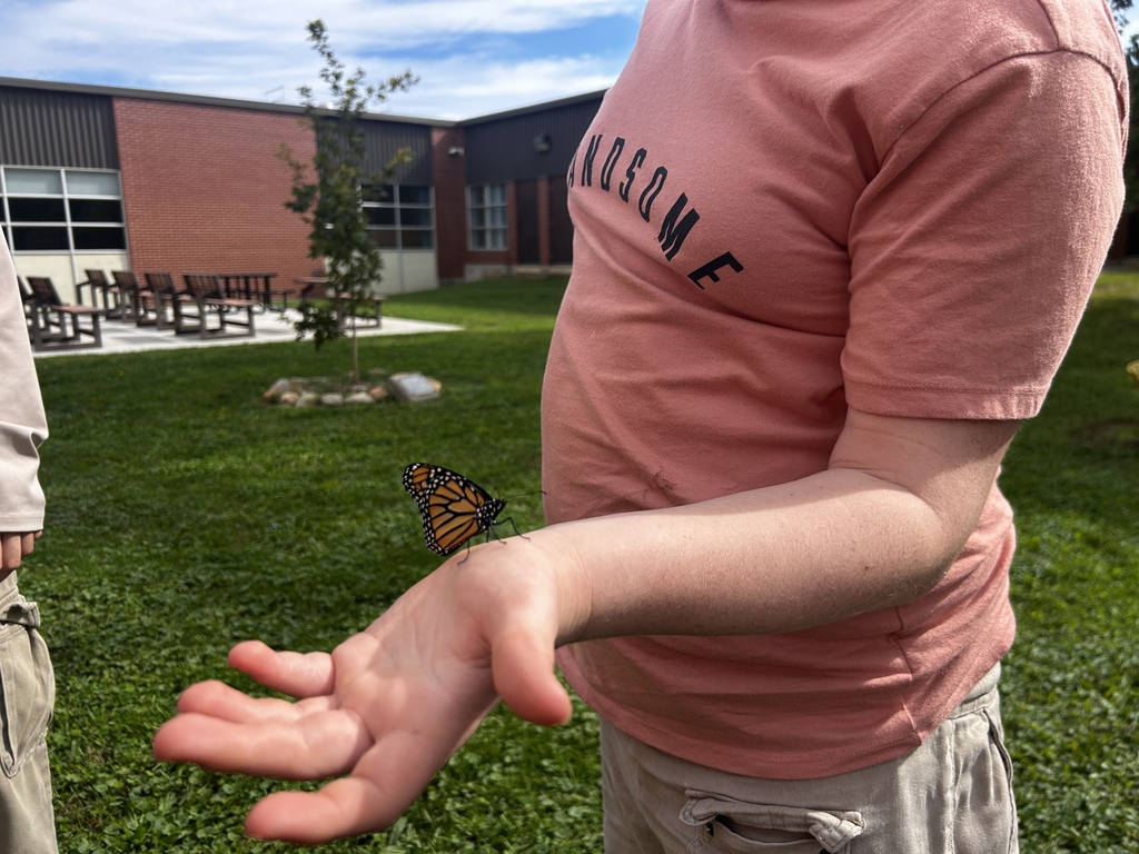 A student releases the monarch outside.