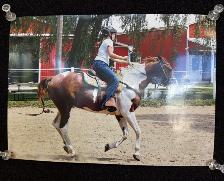 art 3