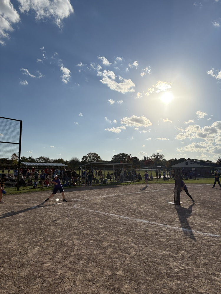 pitcher and batter
