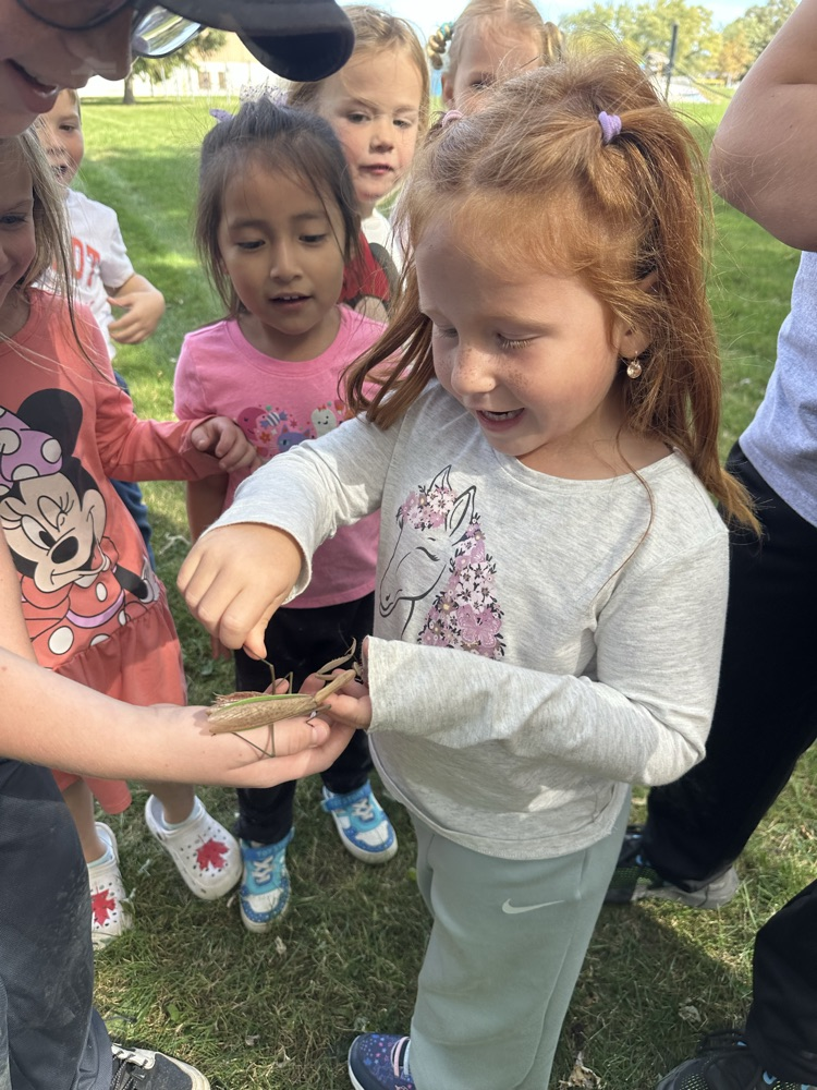 Look what we found - preying mantis