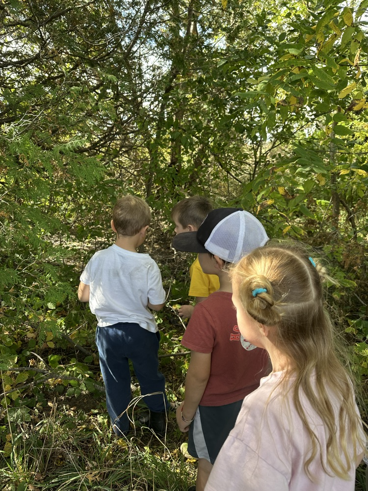 FDK students looking in the bushes