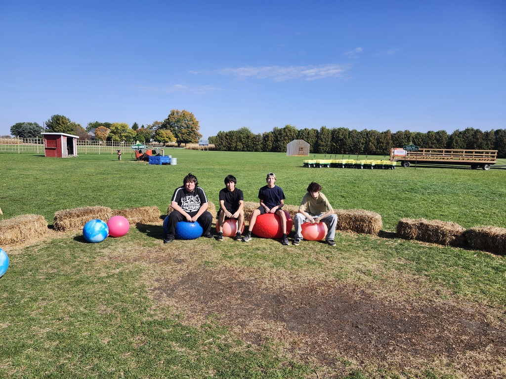 Corn Maze