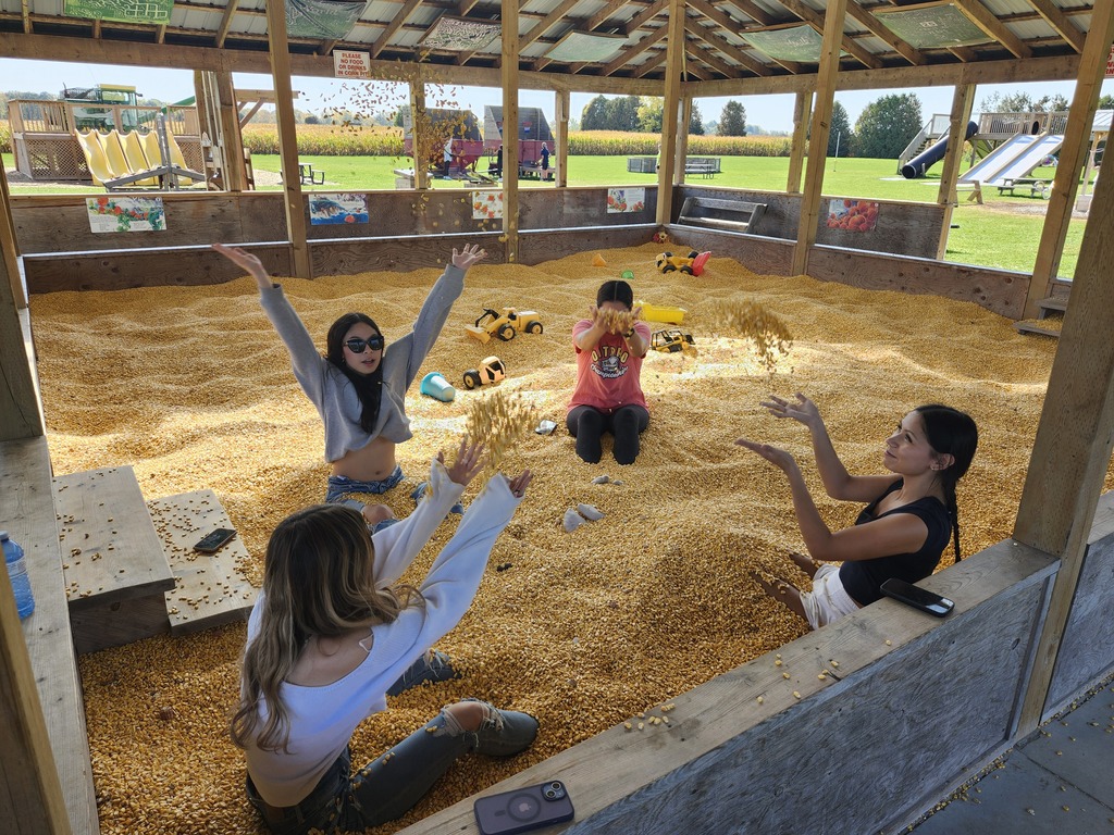 Corn Maze