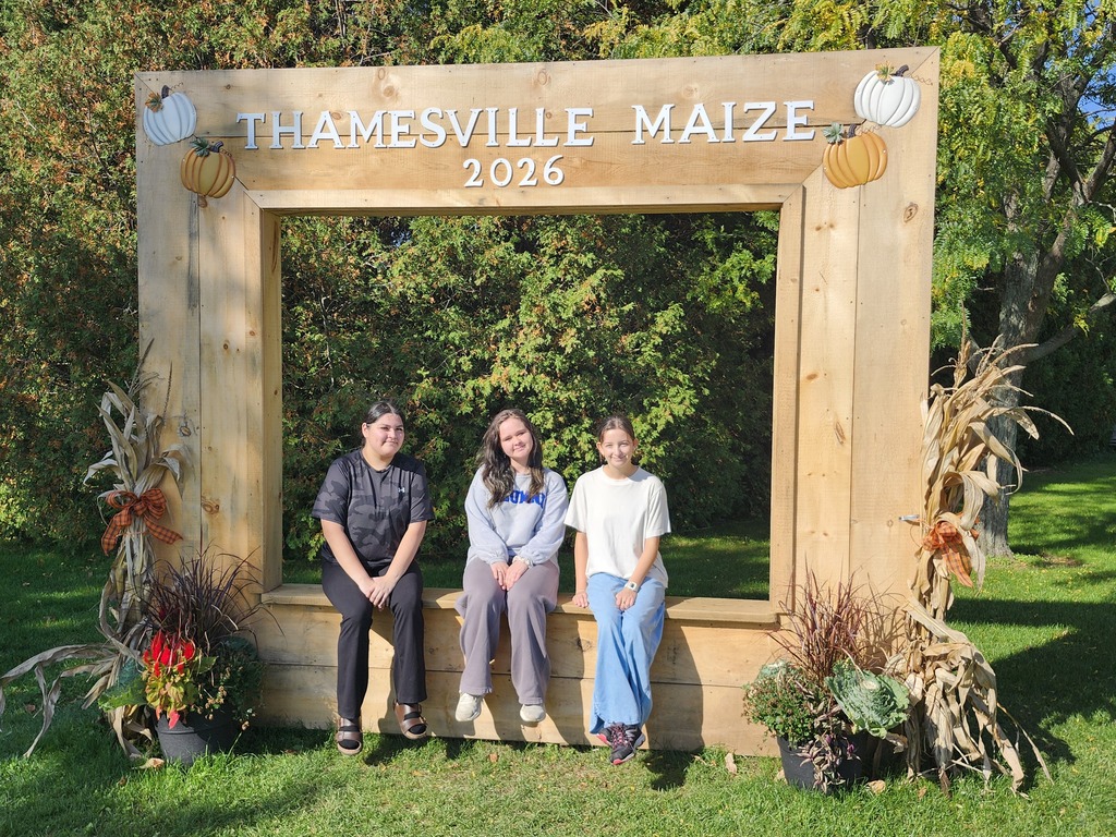 Corn Maze