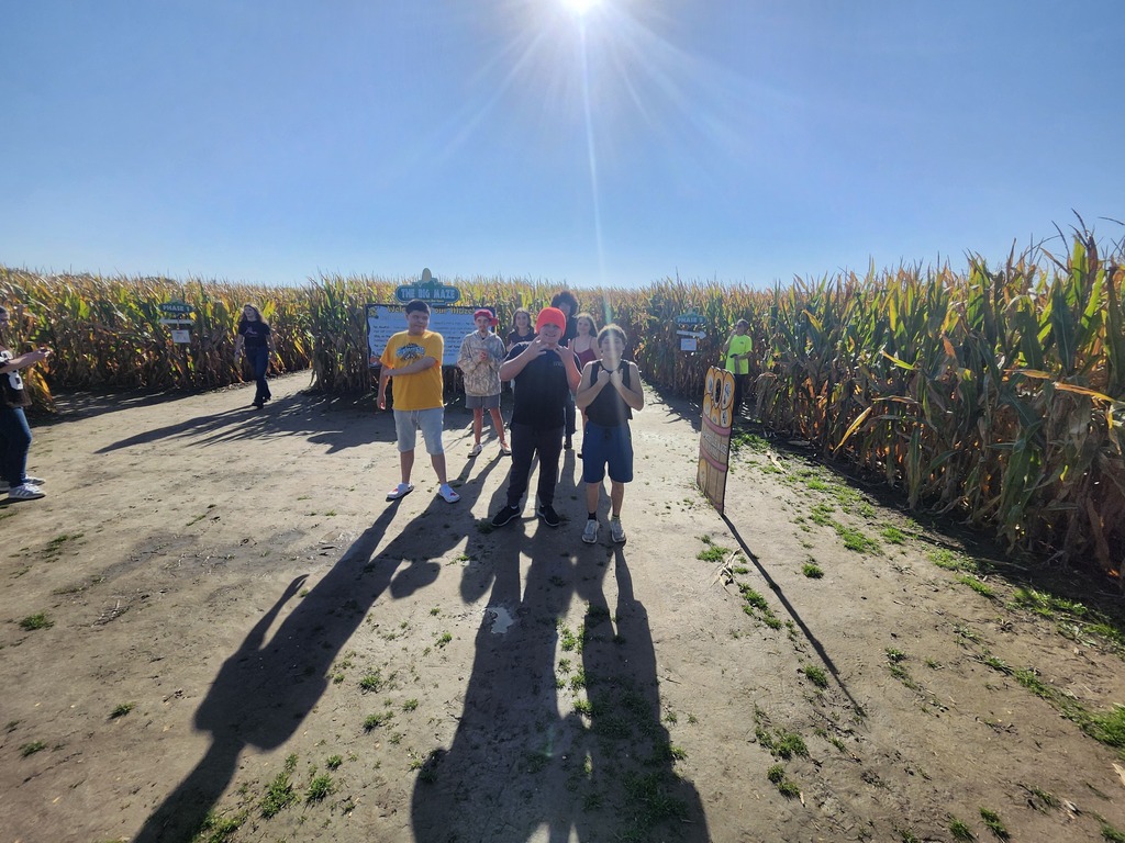 Corn Maze