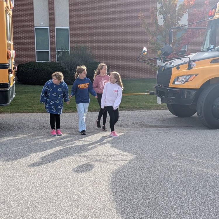 students practicing crossing the road between buses