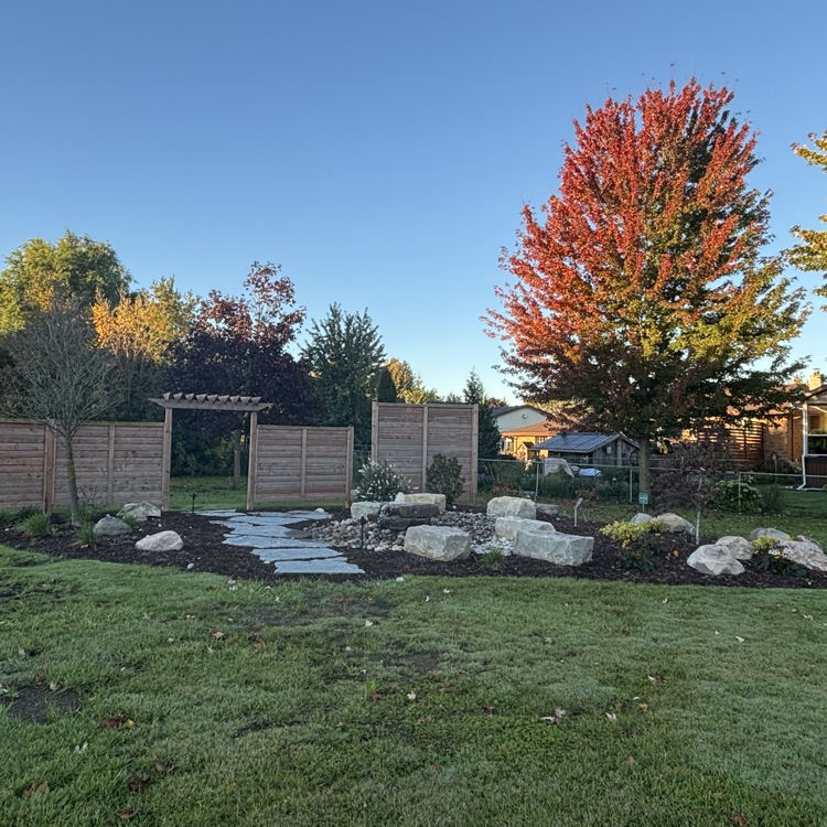 garden with trees, large rocks and a water featurein a park
