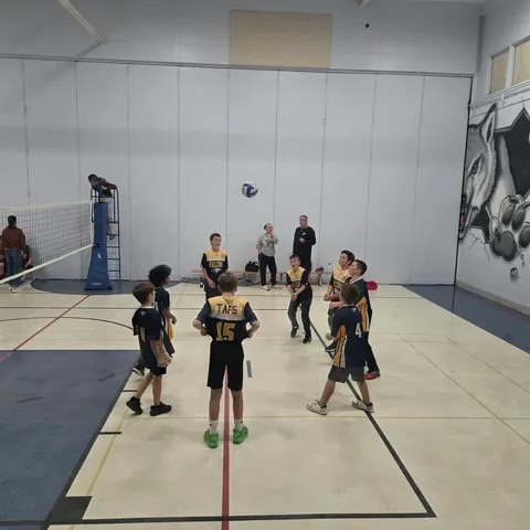 vball