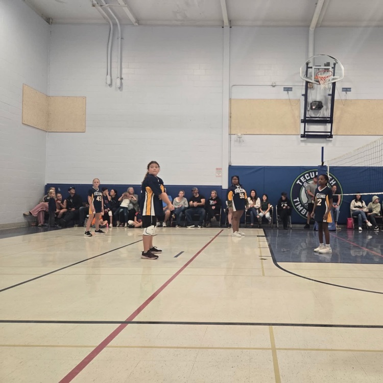 vball