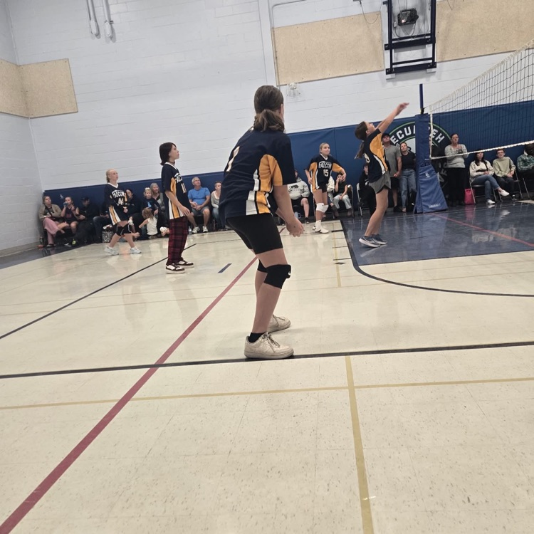 vball
