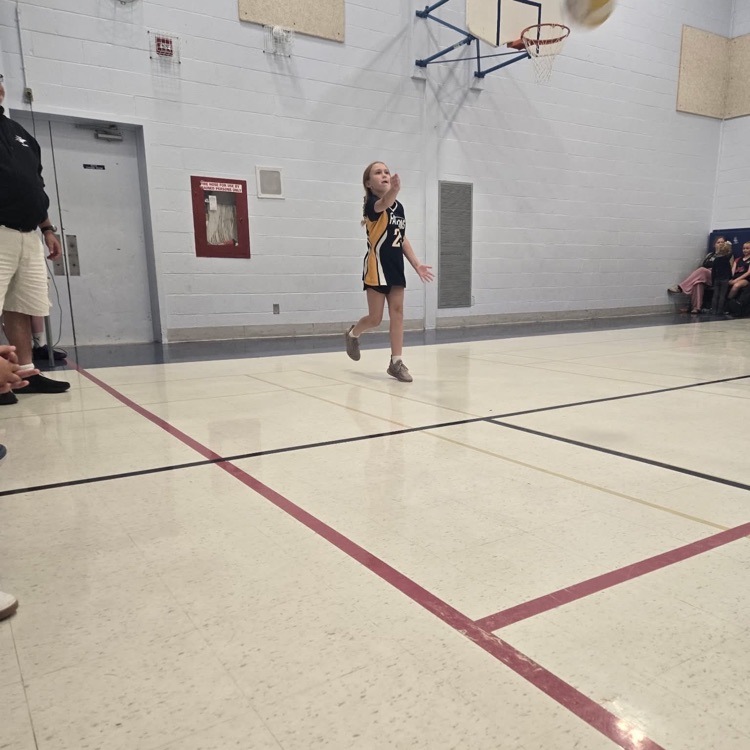 vball