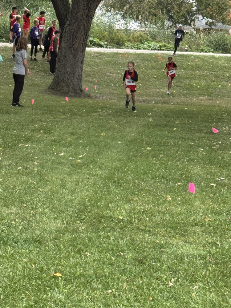 xc