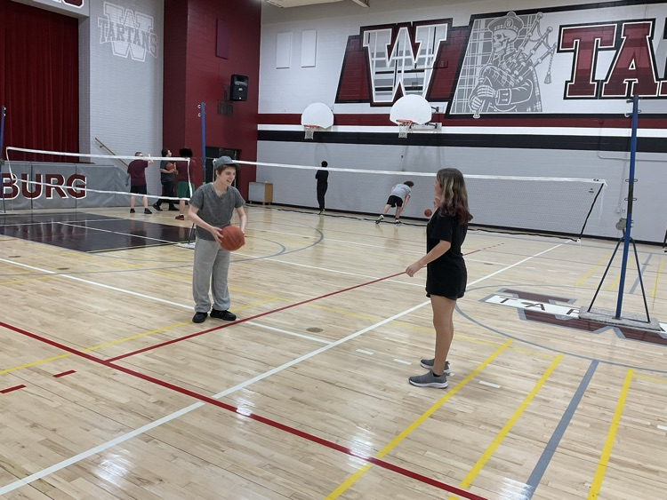 gym6