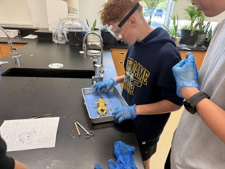 gr 10 science NCIVS 